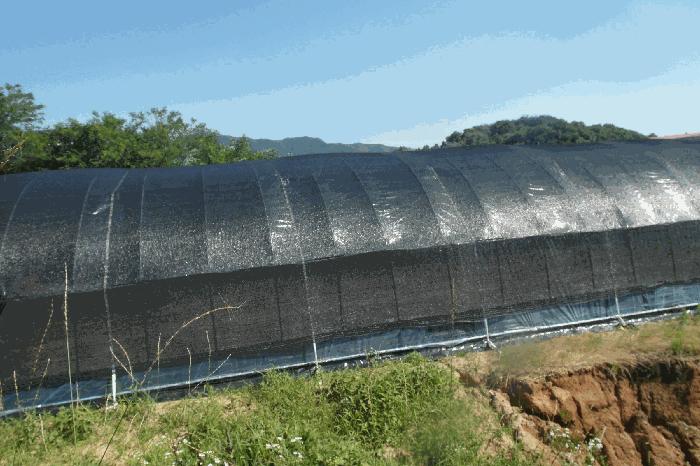 충청남도 논산시 은진면 시묘리 129-3 전 경매 사진 20