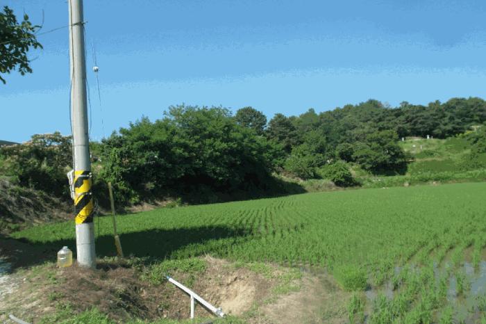 충청남도 논산시 은진면 시묘리 224 대지 경매 사진 17