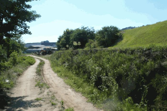 충청남도 논산시 은진면 시묘리 224 대지 경매 사진 32