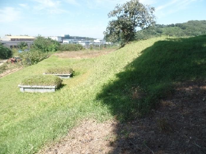 충청남도 논산시 은진면 시묘리 224 대지 경매 사진 42