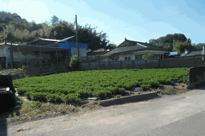 충청남도 논산시 은진면 시묘리 224 대지 경매 사진 7