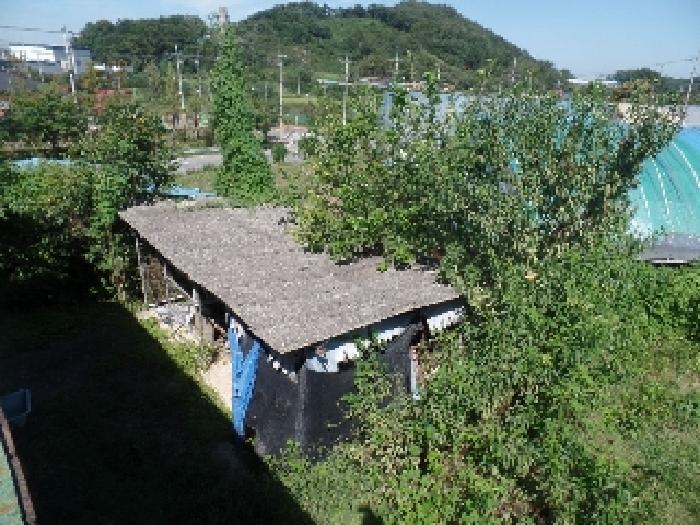 충청남도 논산시 은진면 시묘리 162 대지 경매 사진 38