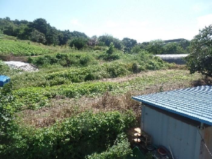 충청남도 논산시 은진면 시묘리 162 대지 경매 사진 51