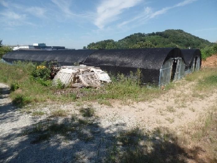 충청남도 논산시 은진면 시묘리 222-8 답 경매 사진 41