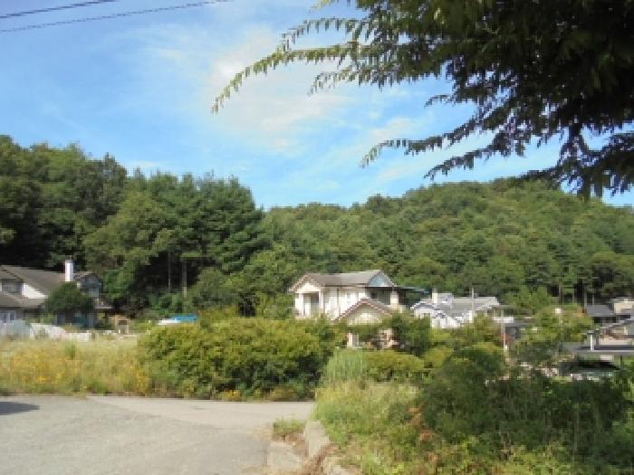 충청남도 부여군 부여읍 저석리 산24-1 임야 경매 사진 15