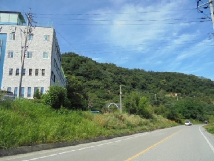 충청남도 부여군 부여읍 저석리 산24-1 임야 경매 사진 17