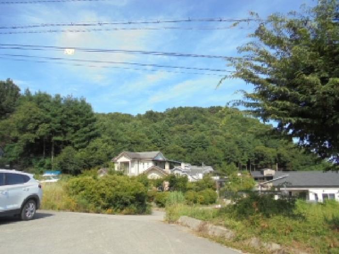 충청남도 부여군 부여읍 저석리 산24-1 임야 경매 사진 19