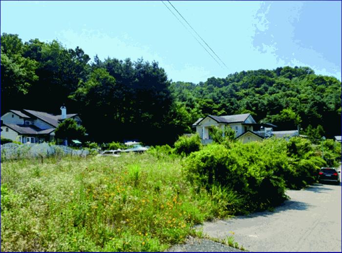 충청남도 부여군 부여읍 저석리 산24-1 임야 경매 사진 3