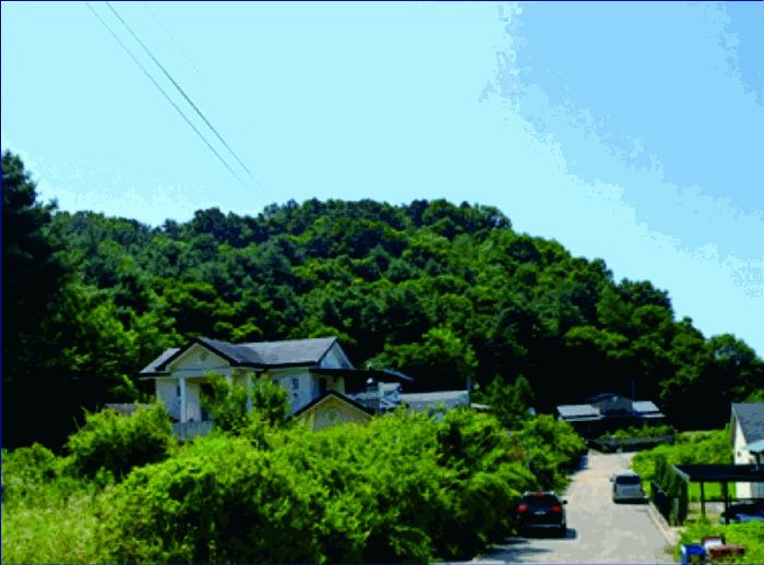 충청남도 부여군 부여읍 저석리 산24-1 임야 경매 사진 4