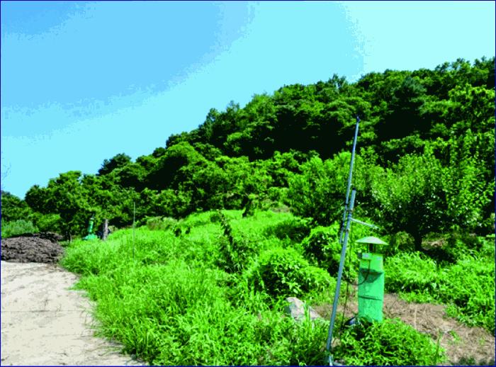 충청남도 부여군 부여읍 저석리 산24-1 임야 경매 사진 5