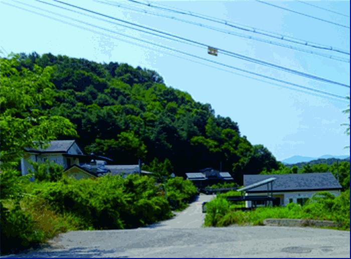 충청남도 부여군 부여읍 저석리 산24-1 임야 경매 사진 7