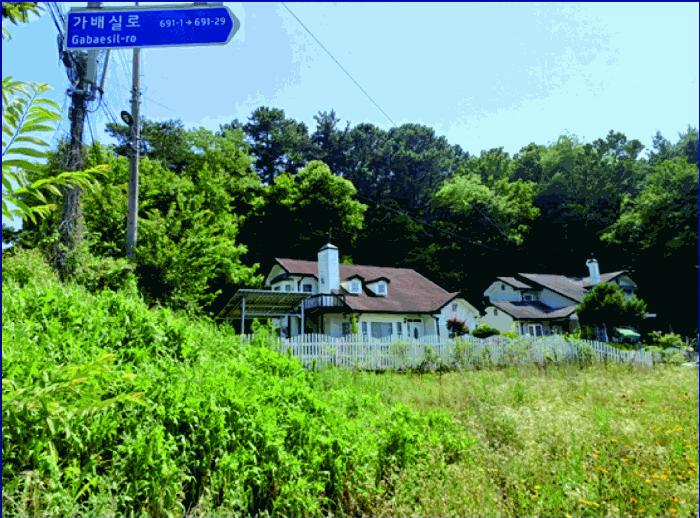 충청남도 부여군 부여읍 저석리 산24-1 임야 경매 사진 9