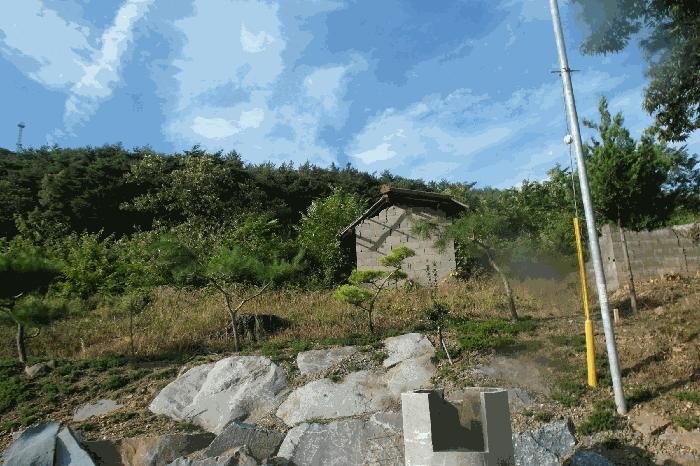 충청남도 부여군 외산면 갈산리 산6-5 임야 경매 사진 13
