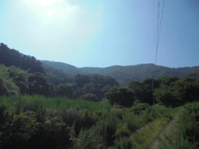 충청남도 부여군 외산면 갈산리 산6-5 임야 경매 사진 17