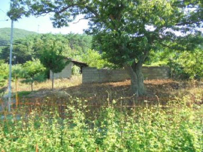 충청남도 부여군 외산면 갈산리 산6-5 임야 경매 사진 18