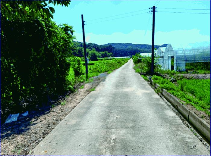 충청남도 부여군 세도면 수고리 1181-1 답 경매 사진 3