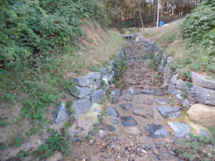 충청남도 논산시 연무읍 동산리 261-23 임야 경매 사진 15