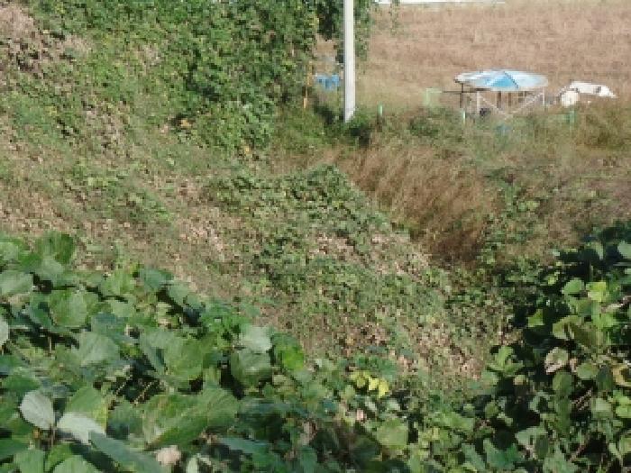 충청남도 논산시 연무읍 동산리 261-23 임야 경매 사진 16
