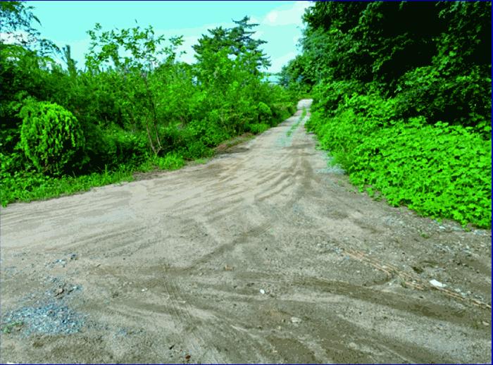 충청남도 논산시 연무읍 동산리 261-23 임야 경매 사진 4