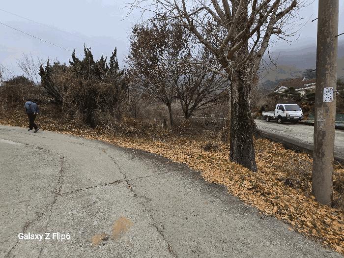 충청남도 논산시 연산면 신양리 산45 임야 경매 사진 3