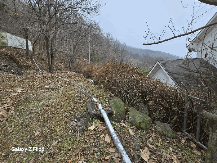 충청남도 논산시 연산면 신양리 1-7 임야 경매 사진 5