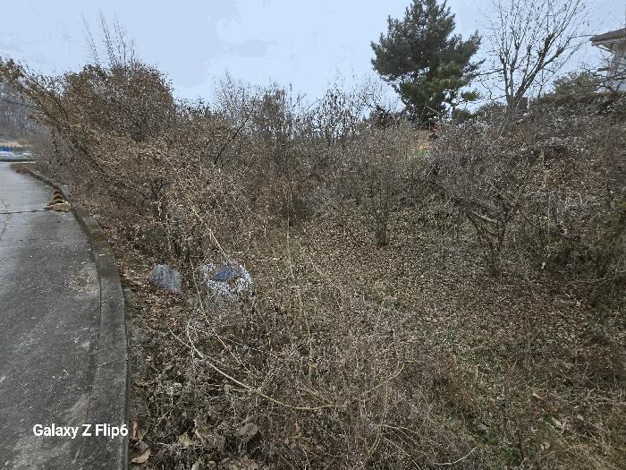 충청남도 논산시 연산면 신양리 1-7 임야 경매 사진 6