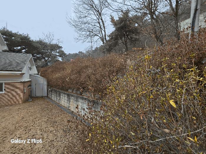 충청남도 논산시 연산면 신양리 1-12 임야 경매 사진 2