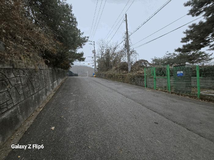 충청남도 논산시 연산면 신양리 1-35 임야 경매 사진 1