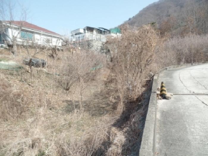 충청남도 논산시 연산면 신양리 1-35 임야 경매 사진 12