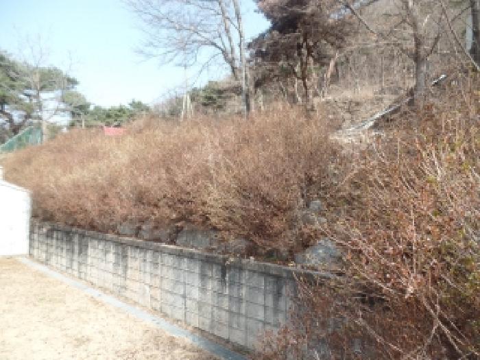 충청남도 논산시 연산면 신양리 1-35 임야 경매 사진 8