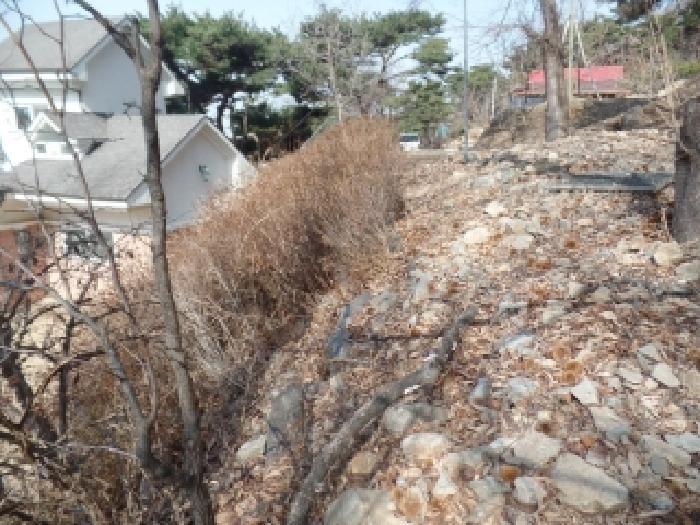 충청남도 논산시 연산면 신양리 1-35 임야 경매 사진 9