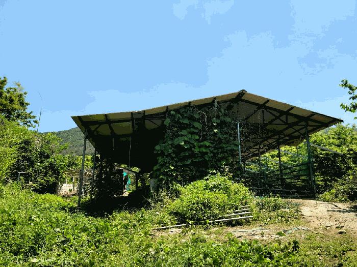 전라남도 광양시 옥룡면 용곡리 1113 주택 경매 사진 18
