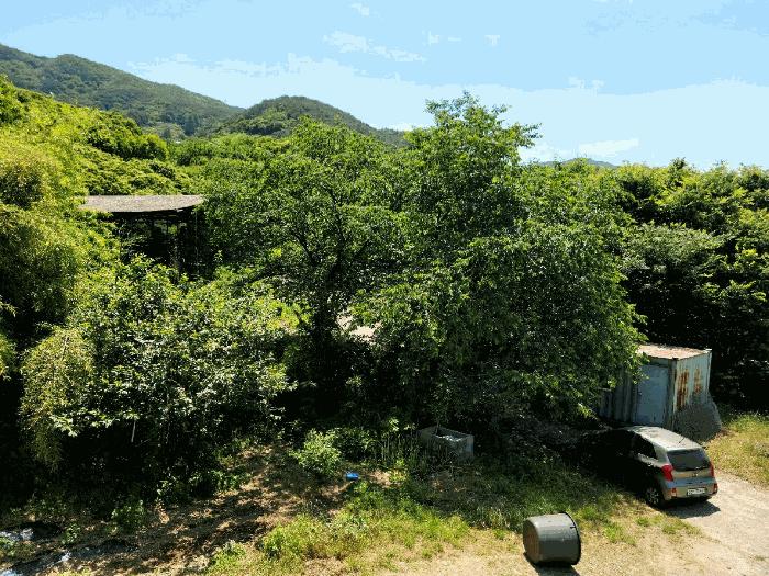 전라남도 광양시 옥룡면 용곡리 1113 주택 경매 사진 3