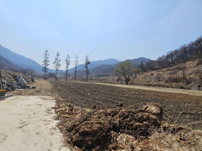 충청북도 충주시 앙성면 지당리 503 답 경매 사진 15