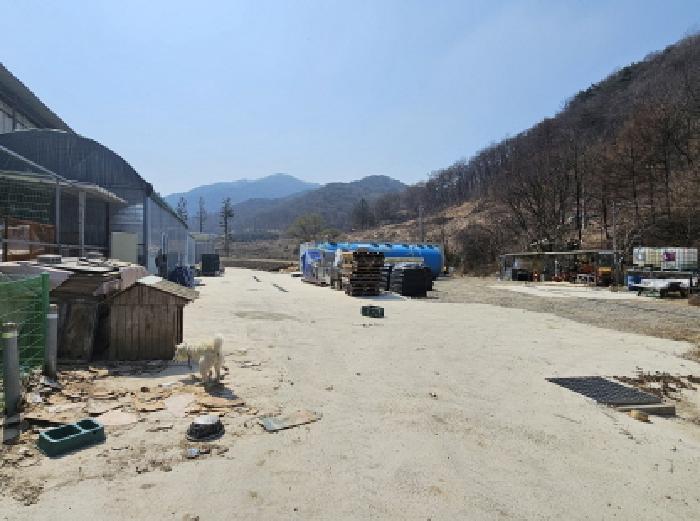충청북도 충주시 앙성면 지당리 503 답 경매 사진 16