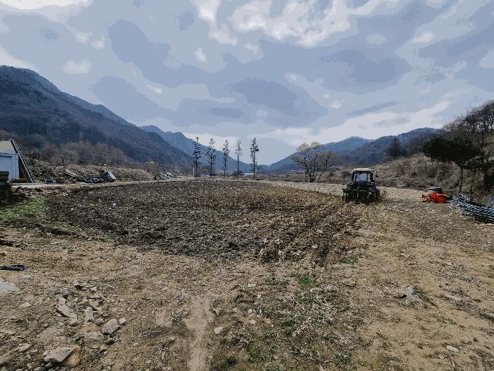 충청북도 충주시 앙성면 지당리 503 답 경매 사진 3