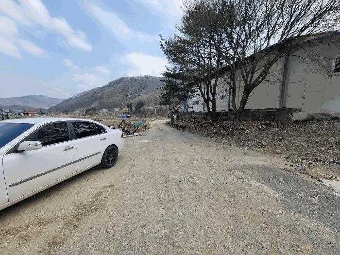 충청북도 충주시 앙성면 지당리 503 답 경매 사진 7