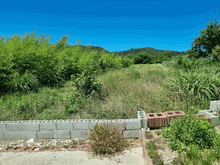 경상북도 포항시 남구 호미곶면 대보리 530 전 경매 사진 1