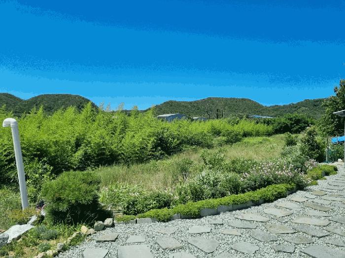 경상북도 포항시 남구 호미곶면 대보리 530 전 경매 사진 13