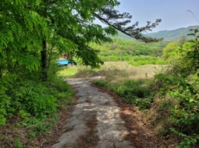 전라남도 보성군 겸백면 남양리 492 전 경매 사진 11