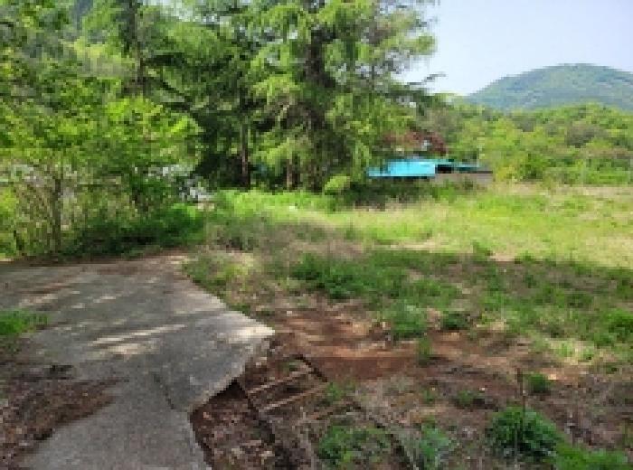 전라남도 보성군 겸백면 남양리 492 전 경매 사진 5