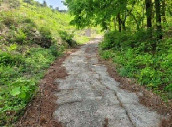 전라남도 보성군 겸백면 남양리 492 전 경매 사진 6