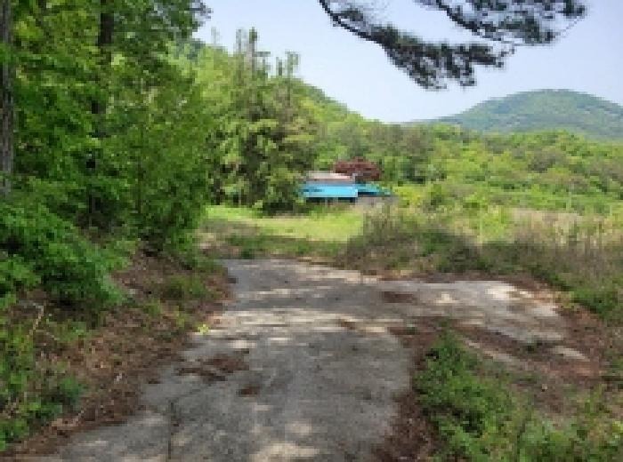 전라남도 보성군 겸백면 남양리 492 전 경매 사진 7
