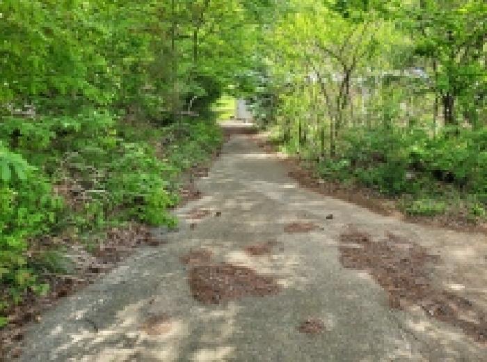 전라남도 보성군 겸백면 남양리 492 전 경매 사진 8