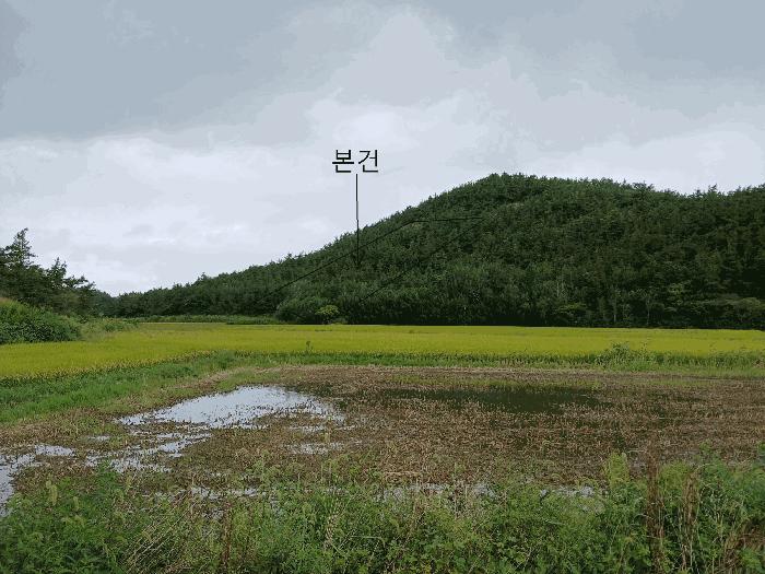 전라남도 신안군 임야
