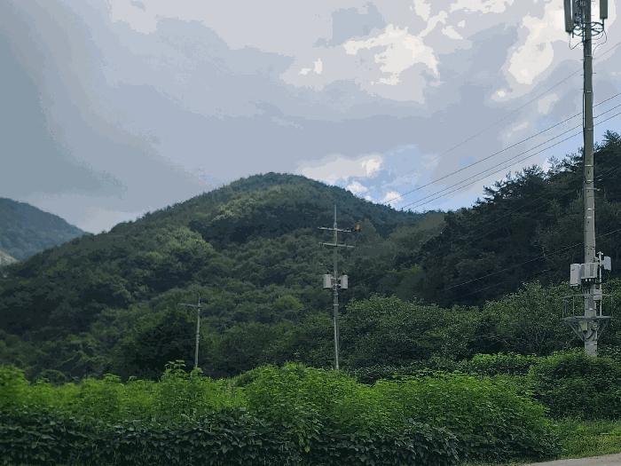 경상남도 고성군 영현면 침점리 산43 임야 경매 사진 2
