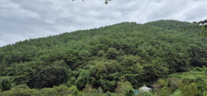 경상남도 고성군 영현면 침점리 산43 임야 경매 사진 5