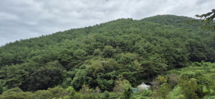 경상남도 고성군 영현면 침점리 산43 임야 경매 사진 7
