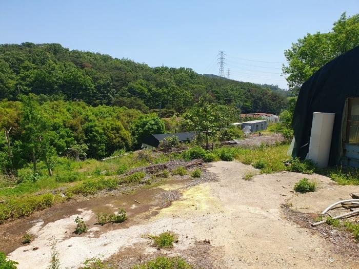부산광역시 기장군 장안읍 용소리 328-5 축사(농가시설) 경매 사진 13