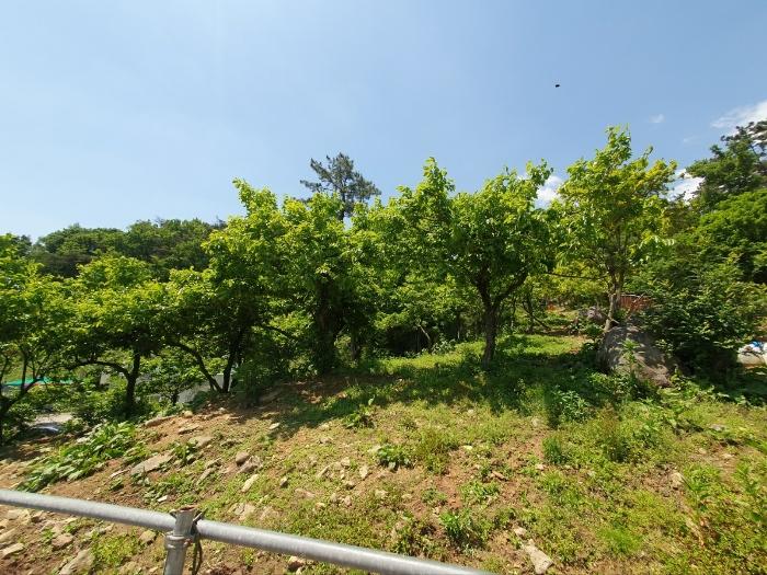 부산광역시 기장군 장안읍 용소리 328-5 축사(농가시설) 경매 사진 19